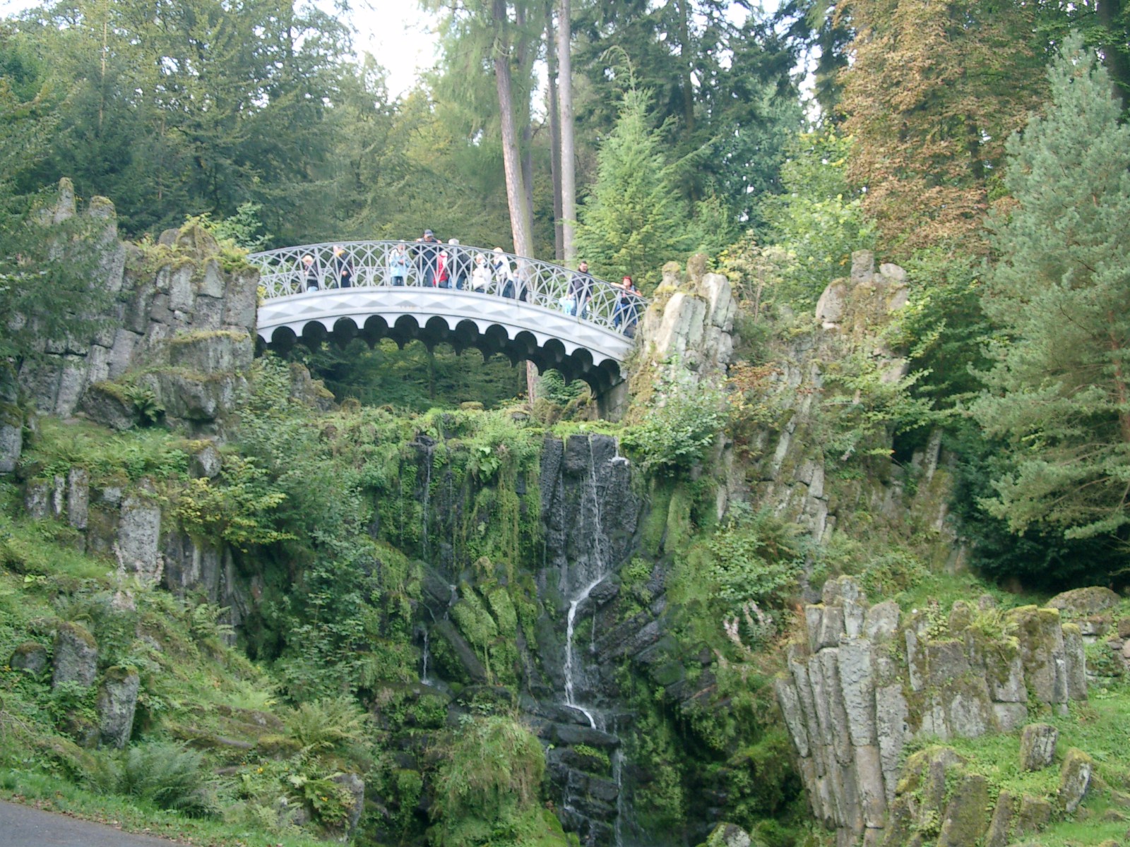 ../Images/CIMG8615.JPG