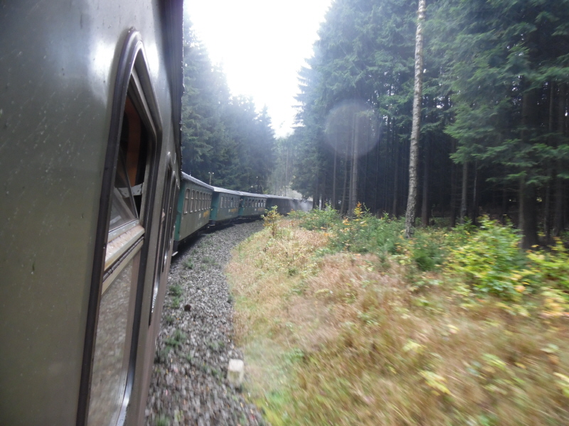 ../Images/SAM_1117.jpg