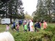 Thumbs/tn_SAM_2200.jpg